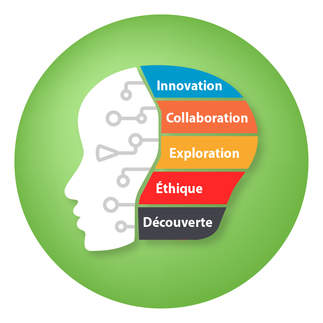 Image d'une tête avec les descriptions des stades du continuum qui sont : innovation, Collaboration, Exploration, Éthique et découverte